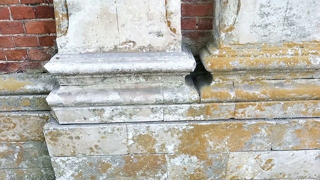 Вещество против всех видов плесени и грибов смотреть онлайн