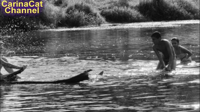 Песня про детство пацанов! Я вспоминаю часто СКАЗКУ! Под ГИТАРУ смотреть онлайн