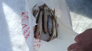 Зимняя рыбалка на Байкале 2016. Ловим хариуса.