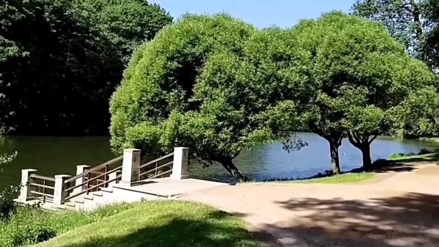 Видео из парка в калейдоскоп. смотреть онлайн