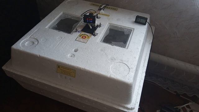 Перепела. от 0 и до вылупления 17 дня! смотреть онлайн