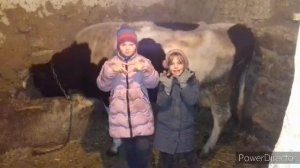 как наши дети любят животных