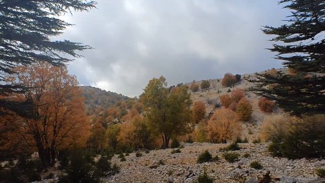 Прошёл Ликийскую тропу целиком за 10 дней смотреть онлайн