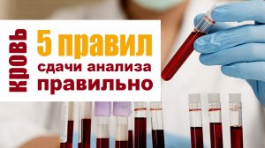 5 правил подготовки к биохимическому анализу крови