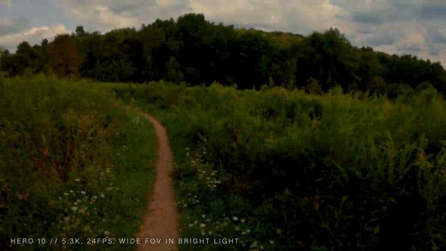 GoPro MAX Lens Mod // Who is it for? смотреть онлайн