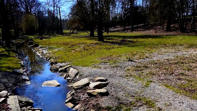 Bayreuth Tierpark - "Röhrensee". / The Natural World / Живой мир (Мир Природы) смотреть онлайн