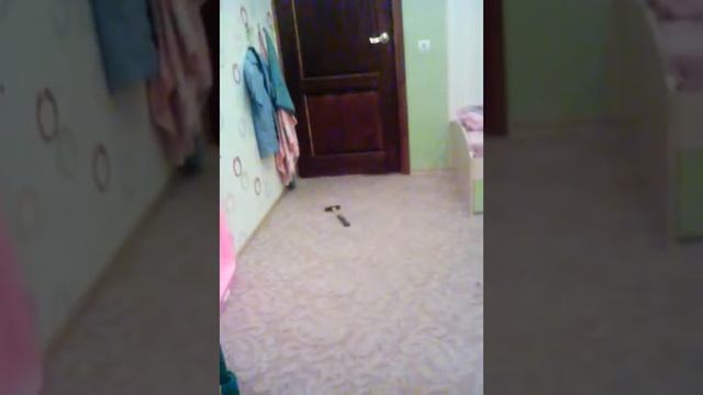 Я ломаю тел за 24 тыщ смотреть онлайн