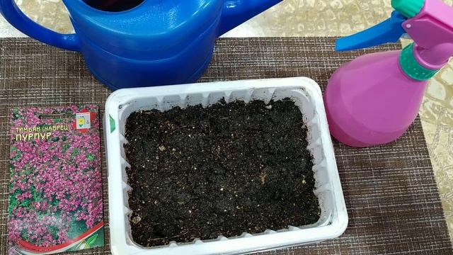 Посев тимьяна, сорт пурпурный