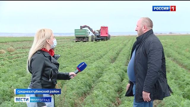 Волгоградские овощеводы встали на путь механизации смотреть онлайн