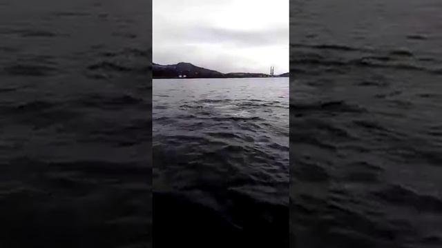 Камчатка касатки смотреть онлайн