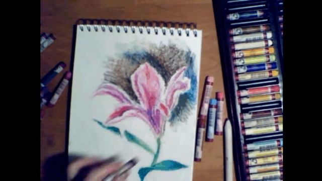 Рисуем лилию смотреть онлайн