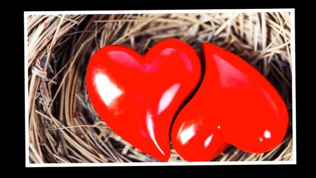 Любовь повсюду! смотреть онлайн