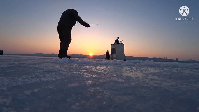 Зубари герои погляди. Изумруда капли на груди.#зубарь #корюшка #рыбалка смотреть онлайн