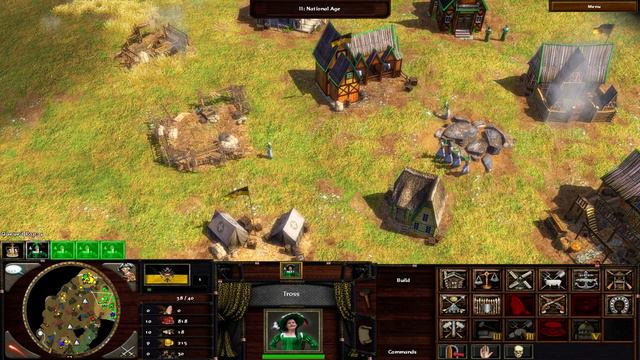 Age of Empires III Wars of Liberty смотреть онлайн