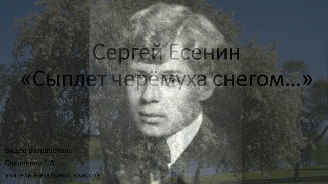 Видеоурок С. Есенин "Сыплет черёмуха снегом" смотреть онлайн