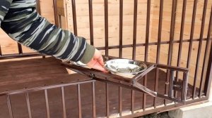 #125 Вольер для алабая, новоселье. Где мы берём деньги? Один из способов заработка.