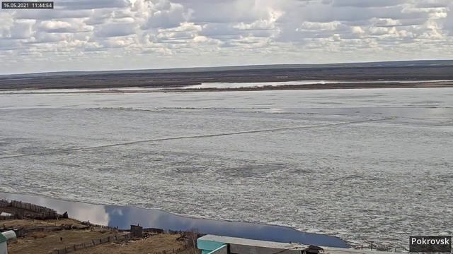 Ледоход 2021 - р. Лена - Покровск - 2021-05-16 смотреть онлайн