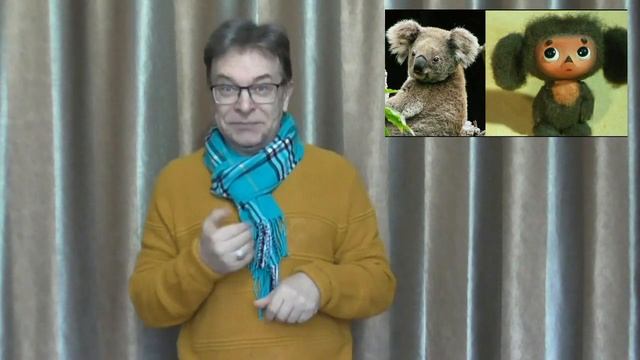 Что за зверёк Чебурашка, кем мог быть его прототип? смотреть онлайн