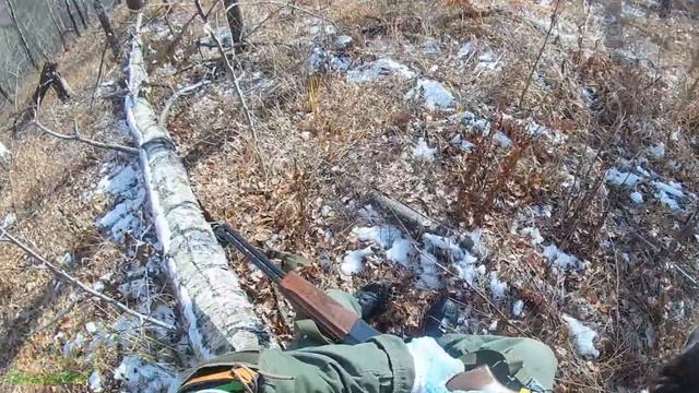 Охота на рябчика с манком-6/2018 (Мр-94).