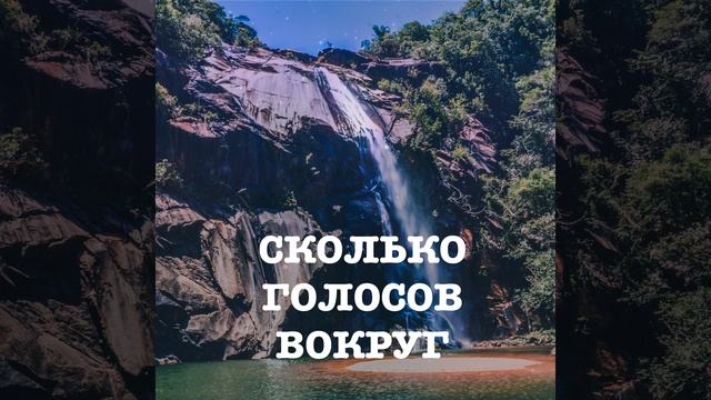 СКОЛЬКО ГОЛОСОВ ВОКРУГ смотреть онлайн