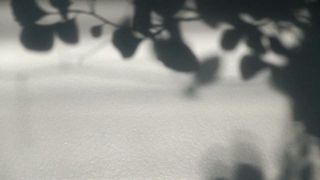 Что пожелать тебе смотреть онлайн