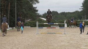 Все о конном спорте