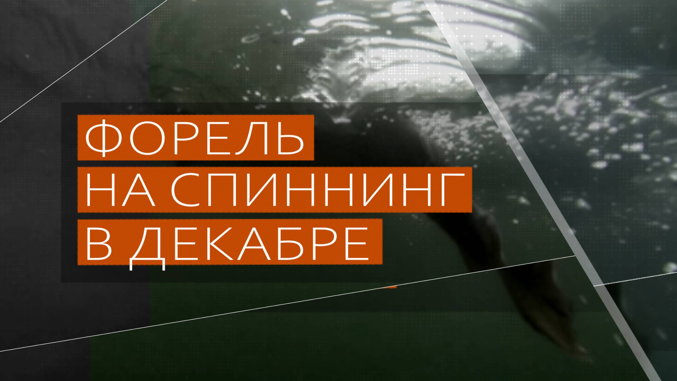 Ловим форель на спиннинг в декабре на приманки компании IRON TROUT.
Новая донная приманка GOOSE.