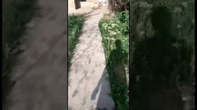 Купила ДАЧУ МАМЕ и ПАПЕ ? Теперь работы им будет достаточно ? смотреть онлайн