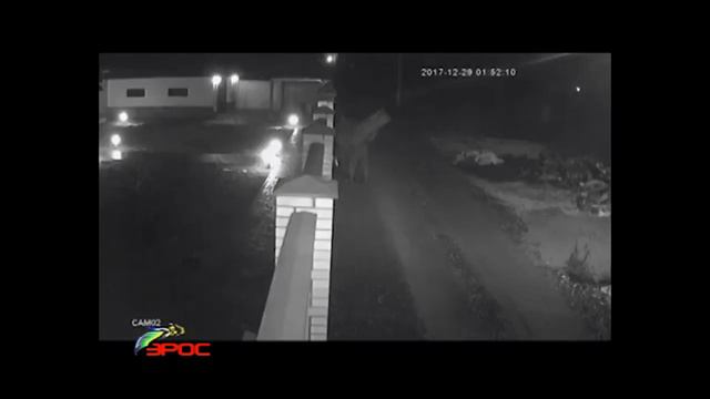 Угроза РАСПРАВЫ! смотреть онлайн