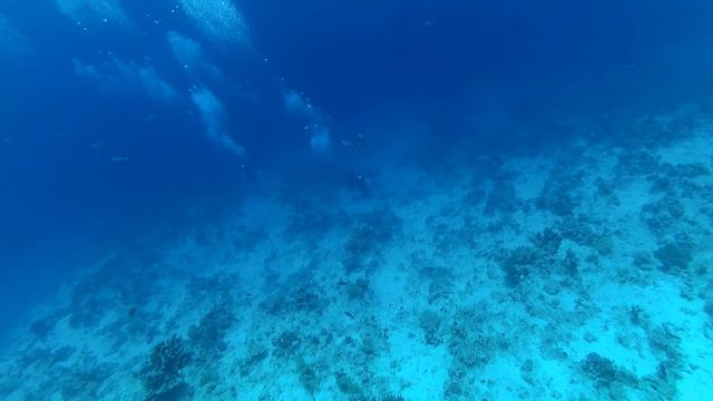 ScubaDivers. Глубина изнутри смотреть онлайн