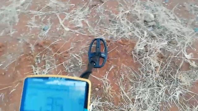 Xterra 705 VS Garret Apex