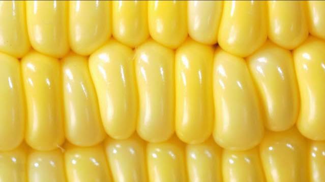 First Try Everyday Objects In Macro 2K | Fun Science