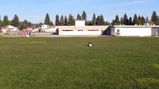 Roberto Luongo Playing Soccer смотреть онлайн