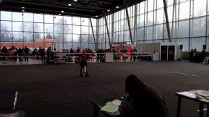 Собака танцует с хозяйкой