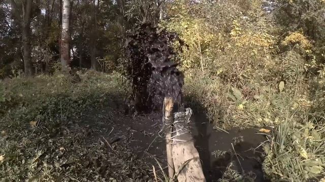 Чистим естественный пруд ( от ила ) смотреть онлайн