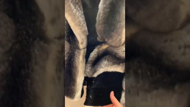Шуба из шиншиллы смотреть онлайн