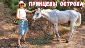 Последний день в Стамбуле. ПРИНЦЕВЫ ОСТРОВА (ТУРЦИЯ). Как добраться из Стамбула