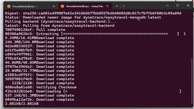 Easy-Travel - Testar no Dynatrace смотреть онлайн