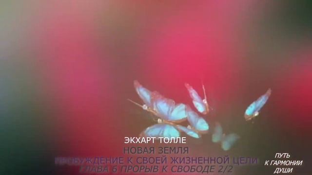 Прорыв к свободе. гл.6 часть 2 книги НОВАЯ ЗЕМЛЯ/Экхарт Толле.(Аудио озвучено В.Лисица) смотреть онлайн