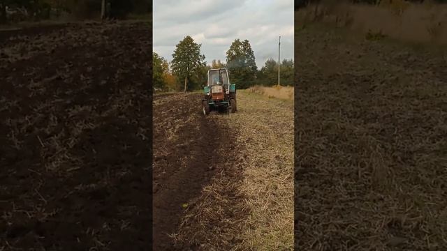 #врек #врекомендации #комбайнеры #тракторист #трактор #юмз #оранка смотреть онлайн