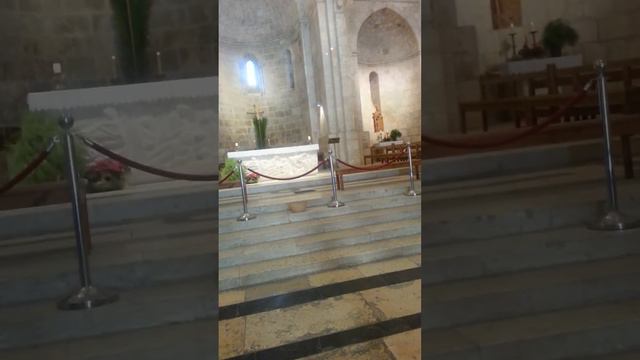 Singing the Shema in Jerusalem 2014 - cantando Shema en Jerusalen - שרה שמע בירושלים смотреть онлайн