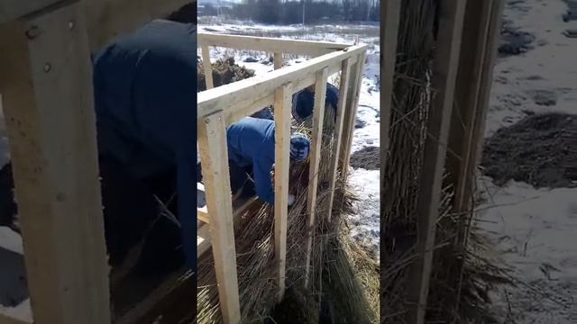 Укладка тростника в стены смотреть онлайн