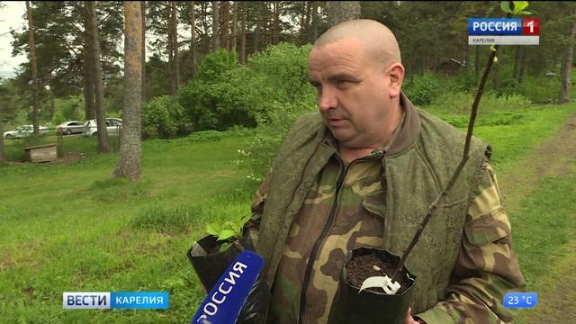 В Ботаническом саду ПетрГУ отметили "Яблоневый цвет" смотреть онлайн