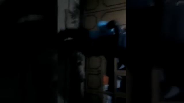 Драки до смерти смотреть онлайн