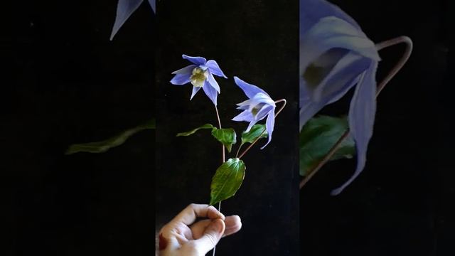 Княжики из холодного фарфора смотреть онлайн