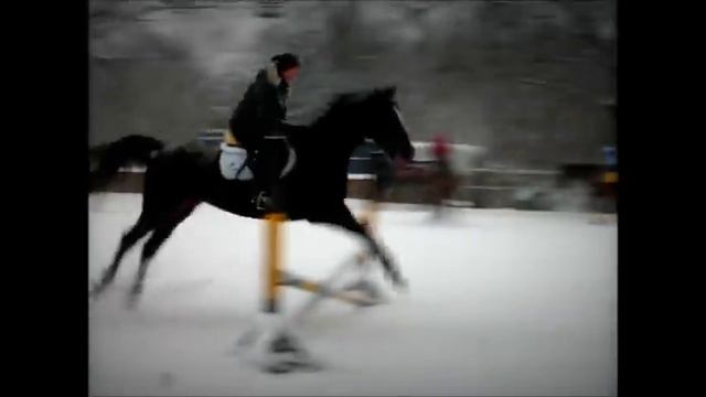 Конкурная тренировка.wmv смотреть онлайн