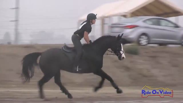 079XC Taylor Hansen on Whisper JR Novice Cross Country FCHP November 2015 смотреть онлайн