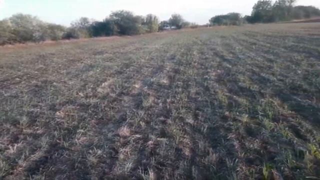 Повысить плодородие почвы урожайность пшеницы Жидкие удобрения Земледелие как бизнес