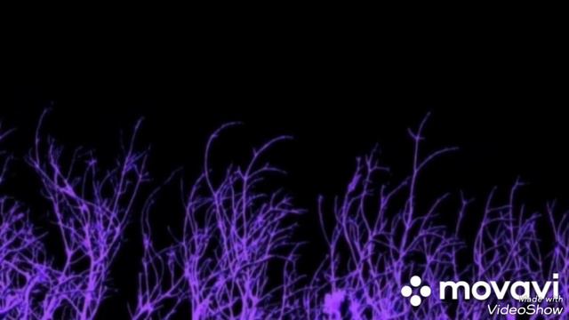 (2)...  звуки в утренней тиши...