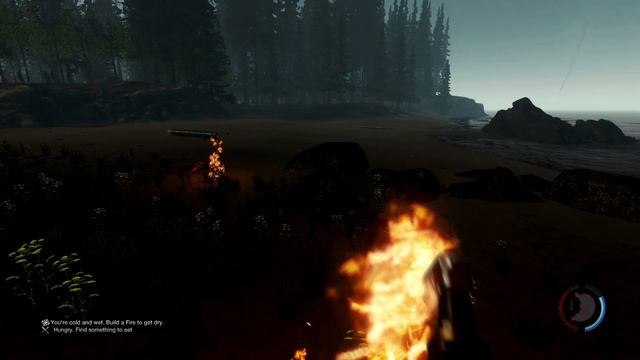 Зе форест / "The Forest" Новые баги v. 0.03 alpha смотреть онлайн